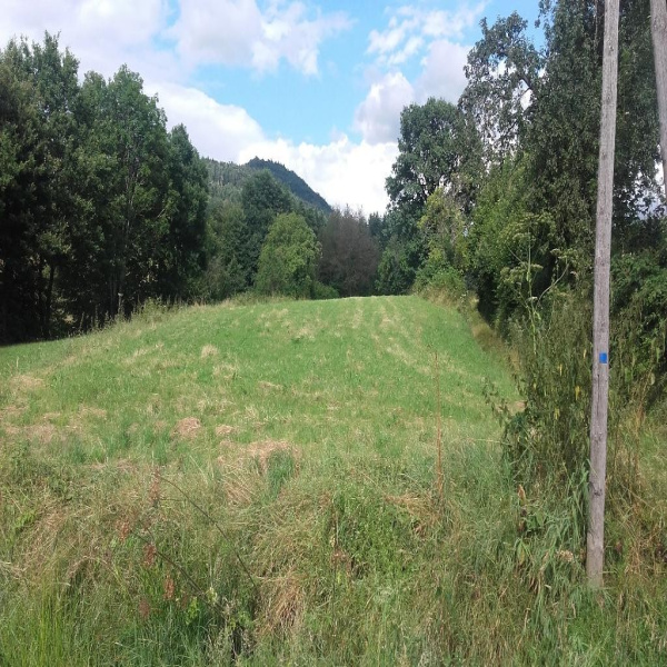 Offres de vente Terrain St die 88100